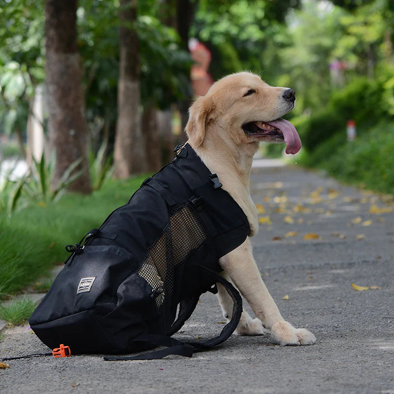 Outdoor Backpack