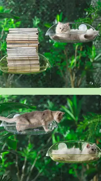 Cat Glass Hammock