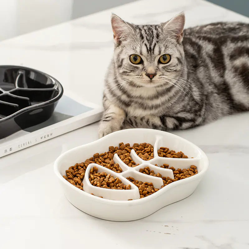 Ceramic Slow Feed Bowl for Cats and Dogs, Anti-Slip