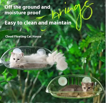 Cat Glass Hammock