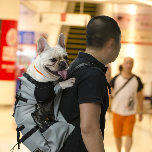 Outdoor Backpack