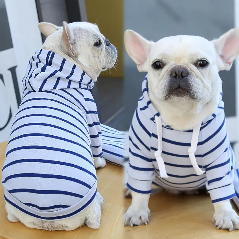 Striped Hoodie Clothes for Dogs and Cats