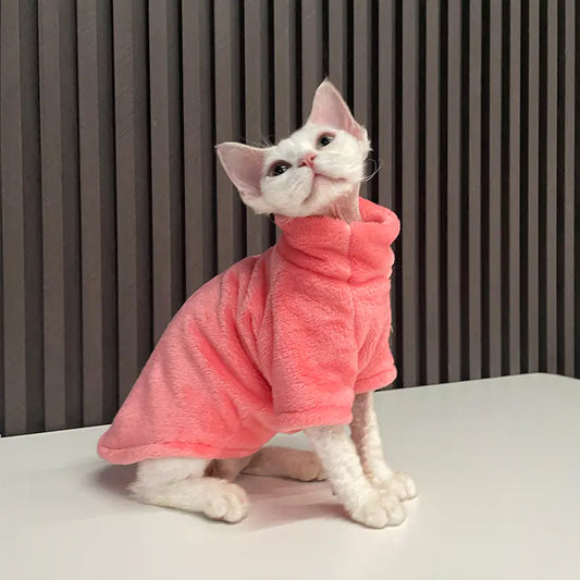 "Fashionable Clothing for Hairless Cats"