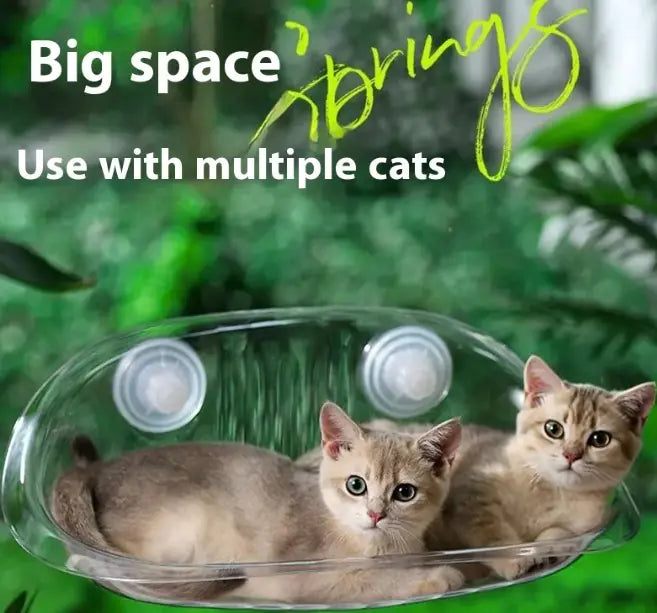 Cat Glass Hammock